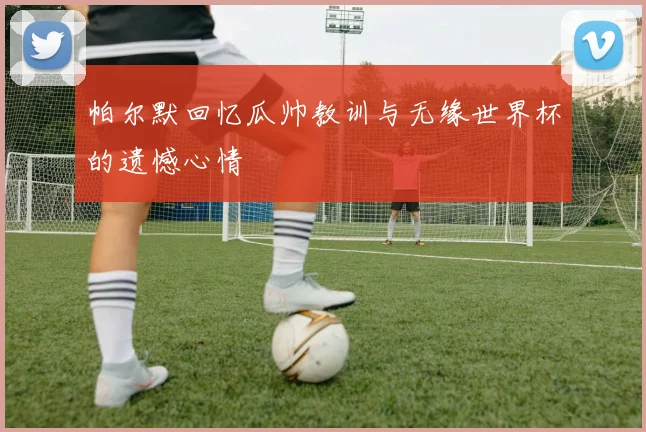 帕尔默回忆瓜帅教训与无缘世界杯的遗憾心情