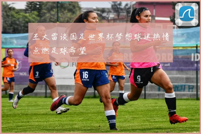 王大雷谈国足世界杯梦想球迷热情点燃足球希望