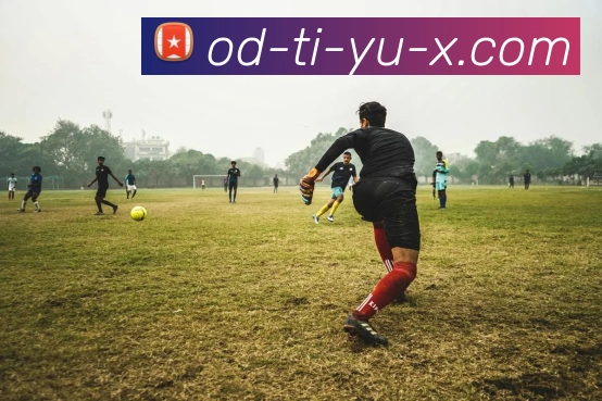 OD体育APP 体育赛事宣传图